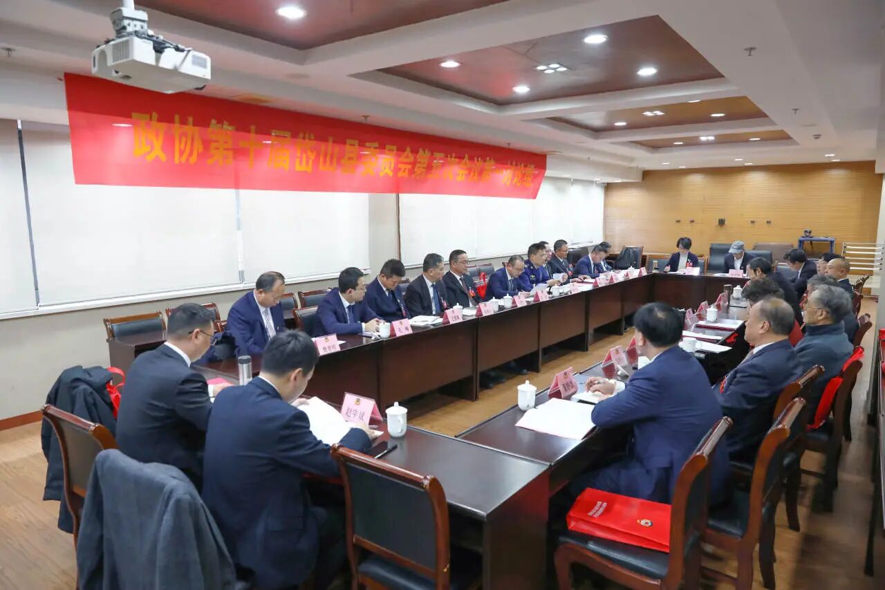 聚焦两会丨政协委员分组审议常委会工作报告和提案工作情况的报告